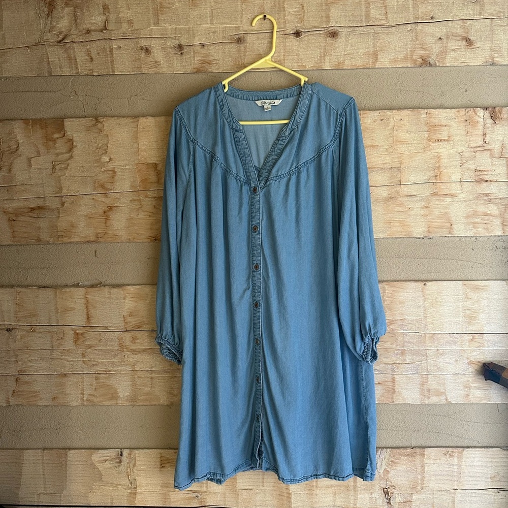 The Pioneer Woman Light Blue Denim Shirt Dress